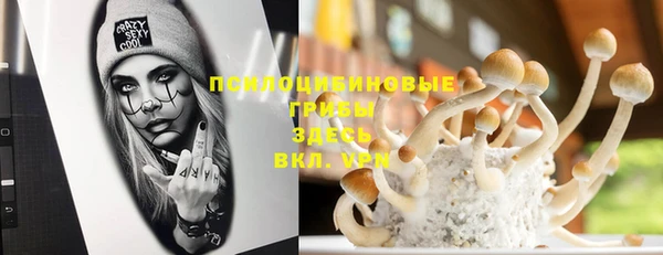 mdpv Верхний Тагил