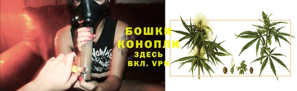 МДПВ Пересвет
