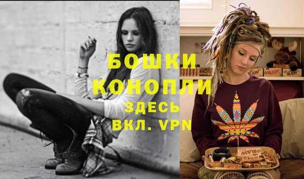 молекула духа Володарск