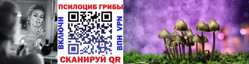 Псилоцибиновые грибы Psilocybe  omg маркетплейс  Ишимбай  где найти  