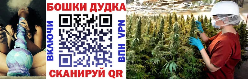 Канабис сатива  Ишимбай 